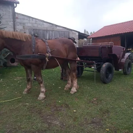 Agroturystyka Lesna Wyspa Kaliska Exterior foto