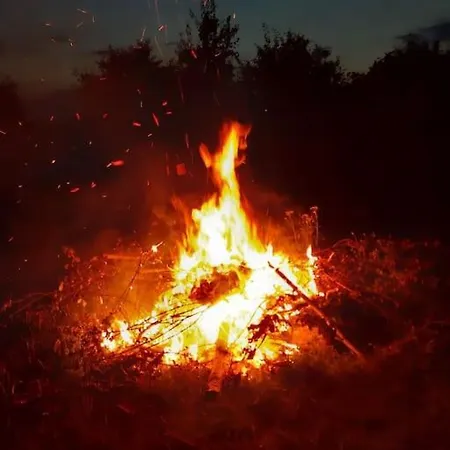 Agroturystyka Lesna Wyspa Kaliska Exterior foto