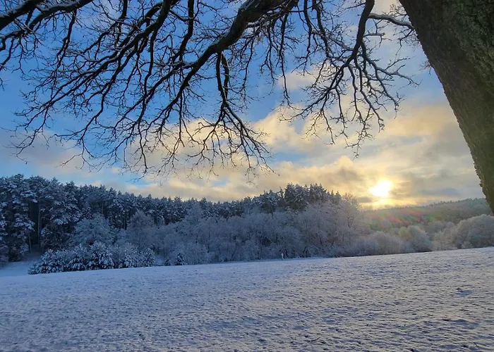 Agroturystyka Lesna Wyspa