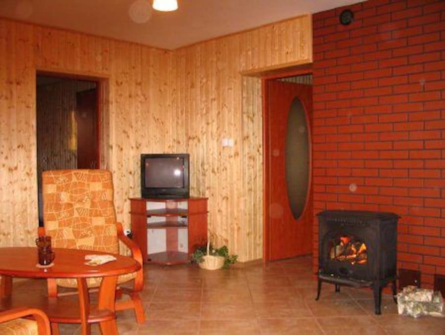 Apartment Lesna Wyspa